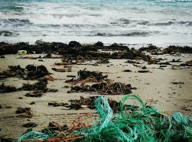 South Pacific Flat 2 马尔萨斯卡拉