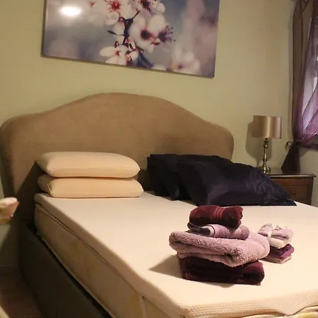 South Pacific Flat 2 アパート